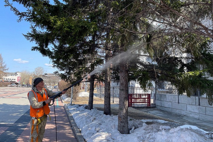 Сотрудники Горзеленхоза моют деревья. Фото пресс-службы администрации Иркутска