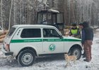 Лесной надзор. Фото пресс-службы правительства региона