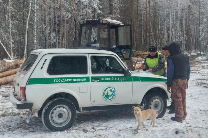 Лесной надзор. Фото пресс-службы правительства региона