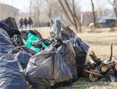 Как сообщили в комитете городского обустройства, участники общегородского субботника собрали 1,5 тысячи тонн мусора.
