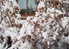 Снег в Иркутске весной. Фото IRK.ru