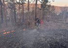 Тушение лесного пожара. Фото пресс-службы правительства Иркутской области