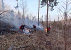 Тушение лесного пожара. Фото пресс-службы правительства Иркутской области