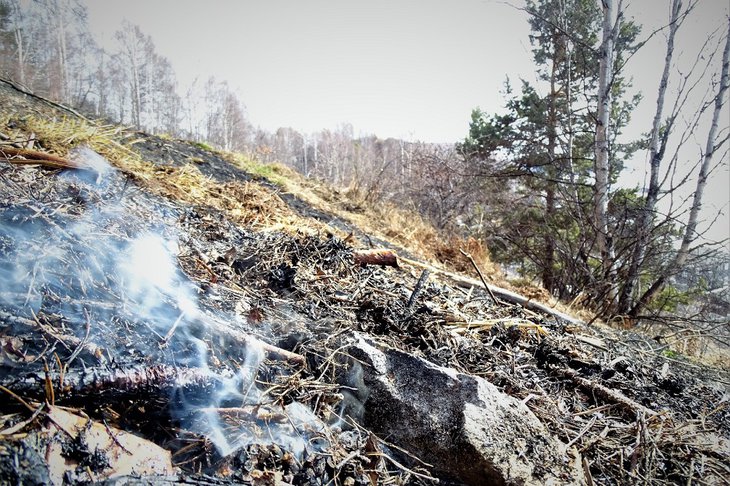 Лесной пожар. Фото пресс-служба «Заповедного Прибайкалья»