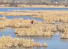 Спасение школьника. Фото пресс-службы ГУ МЧС России по Иркутской области