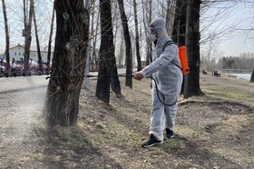 Противоклещевая обработка на острове Конный. Фото пресс-служба администрации Иркутска