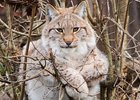 Фото пресс-службы администрации Марковского МО