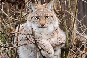 Фото пресс-службы администрации Марковского МО
