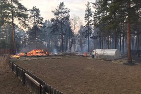 Пожар в Усольском районе. Фото пресс-службы ГУ МЧС России по Иркутской области