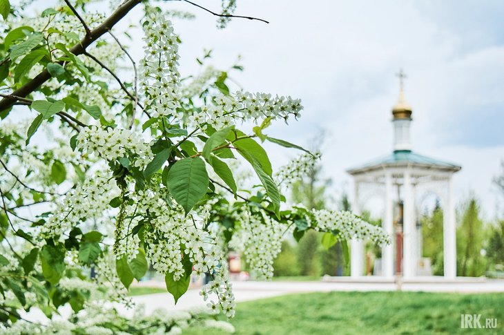 Иркутск. Фото Маргариты Романовой, IRK.ru