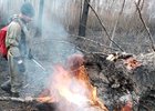 Тушение лесного пожара. Фото пресс-службы правительства Иркутской области