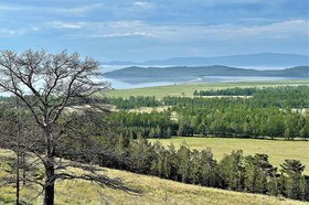 Фото пресс-службы «Заповедного Прибайкалья»