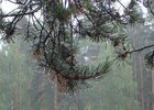 Фото с сайта правительства Иркутской области