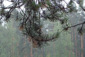 Фото с сайта правительства Иркутской области