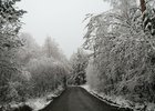 Мельничный тракт, утро 14 мая. Фото читателя IRK.ru