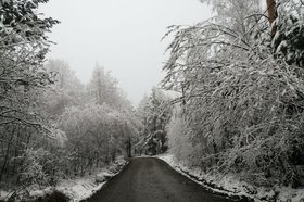 Мельничный тракт, утро 14 мая. Фото читателя IRK.ru