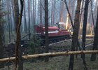 Тушение лесного пожара. Фото пресс-службы правительства Иркутской области