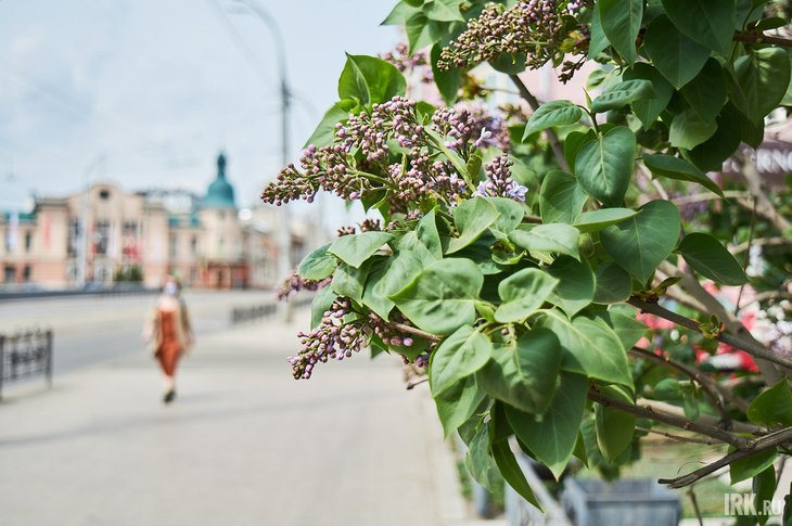 Весна в Иркутске. Фото из архива IRK.ru