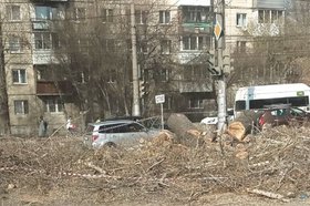Фото очевидцев