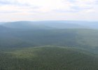 Лес. Фото пресс-службы правительства региона