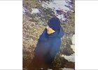Подозреваемый. Фото пресс-службы ГУ МВД России по Иркутской области