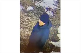 Подозреваемый. Фото пресс-службы ГУ МВД России по Иркутской области