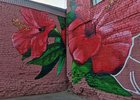 Изображение на стенах зданий в «Ветеранском сквере». Фото пресс-службы администрации Иркутска