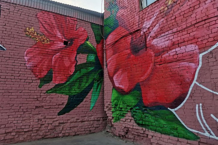Изображение на стенах зданий в «Ветеранском сквере». Фото пресс-службы администрации Иркутска