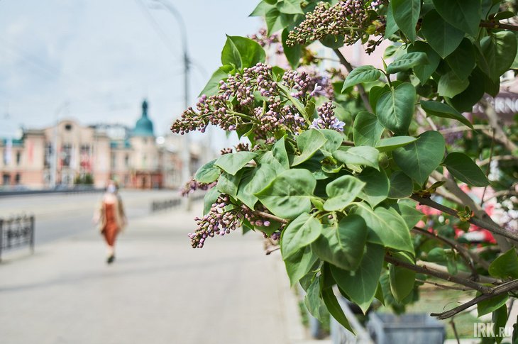 Весна в Иркутске. Фото Маргариты Романовой, IRK.ru