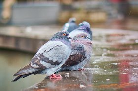 Фото IRK.ru