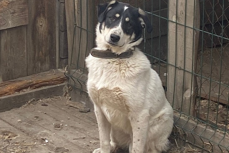 Фото волонтеров организации