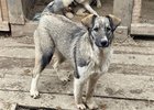 Фото волонтеров организации