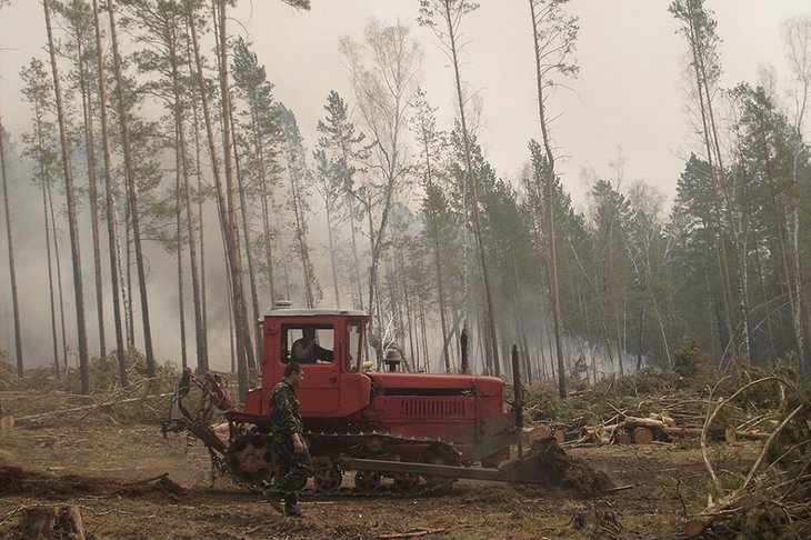 Тушение лесного пожара. Фото пресс-службы правительства региона