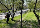 Фото пресс-службы администрации Иркутска