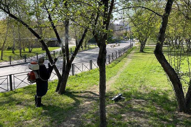 Фото пресс-службы администрации Иркутска