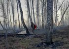 Тушение лесного пожара. Фото пресс-службы правительства Иркутской области