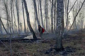 Тушение лесного пожара. Фото пресс-службы правительства Иркутской области