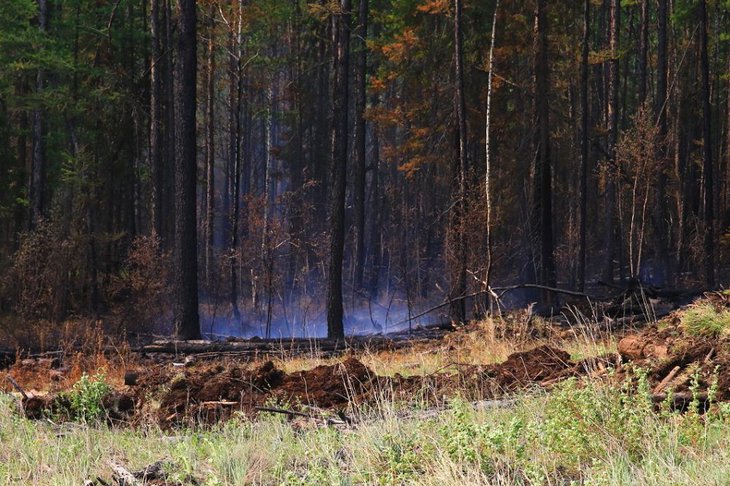 Фото с сайта правительства Иркутской области