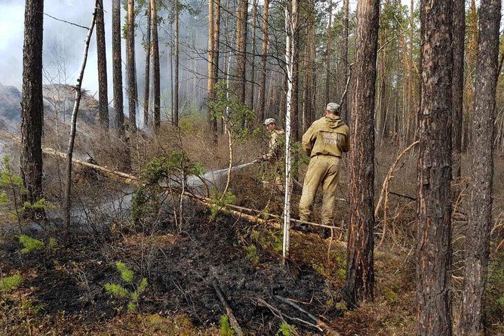Тушение лесного пожара. Фото пресс-службы правительства Иркутской области
