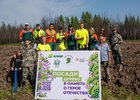 Фото Группы «Илим»