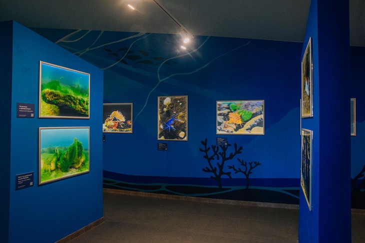 Фото Валентины Межецкой