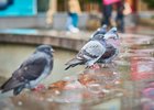 Фото из архива IRK.ru