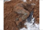 Труп. Фото пресс-службы СУ СК России по Иркутской области