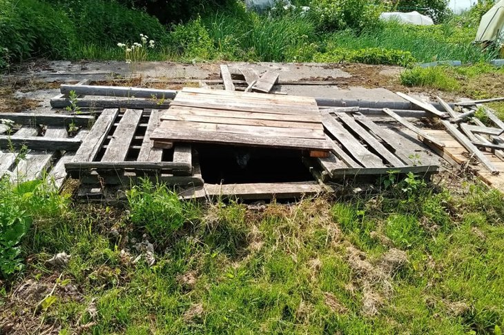 Фото из соцсетей Татьяны Афанасьевой