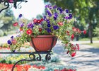 Лето в Иркутске. Фото Маргариты Романовой, IRK.ru