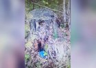 Пень, под которым мужчины спрятали наркотики. Фото с сайта МВД медиа