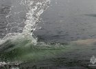Фото ГУ МЧС России по Иркутской области