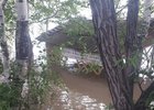 Берег реки Китой. Фото из чата садоводства «Сосновый бор»