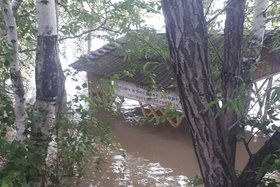 Берег реки Китой. Фото из чата садоводства «Сосновый бор»