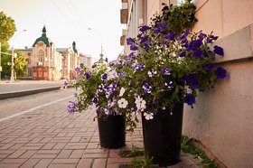 Лето в Иркутске. Фото из архива IRK.ru